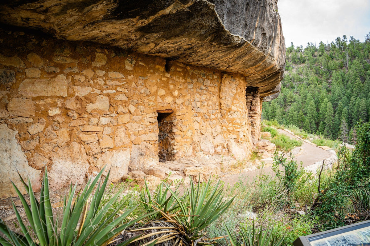 Walnut Canyon National Monument: Cliff Dwellings and the Island Trail
