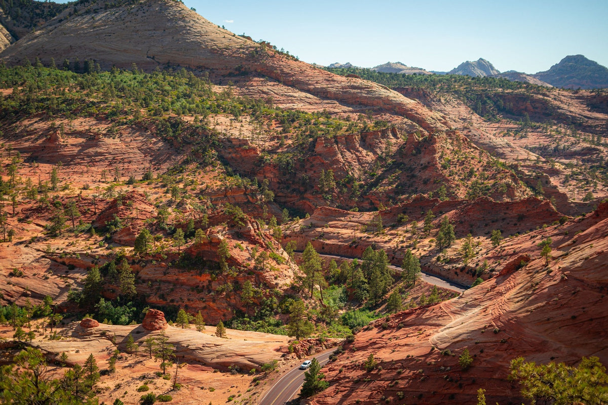 Zion National Park Guide: What to See on a First Visit
