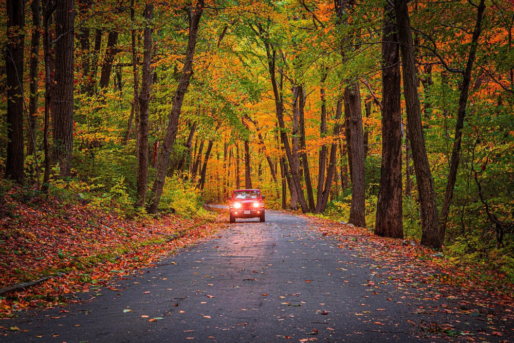 East Rock Park: New Haven Views and Fall Foliage