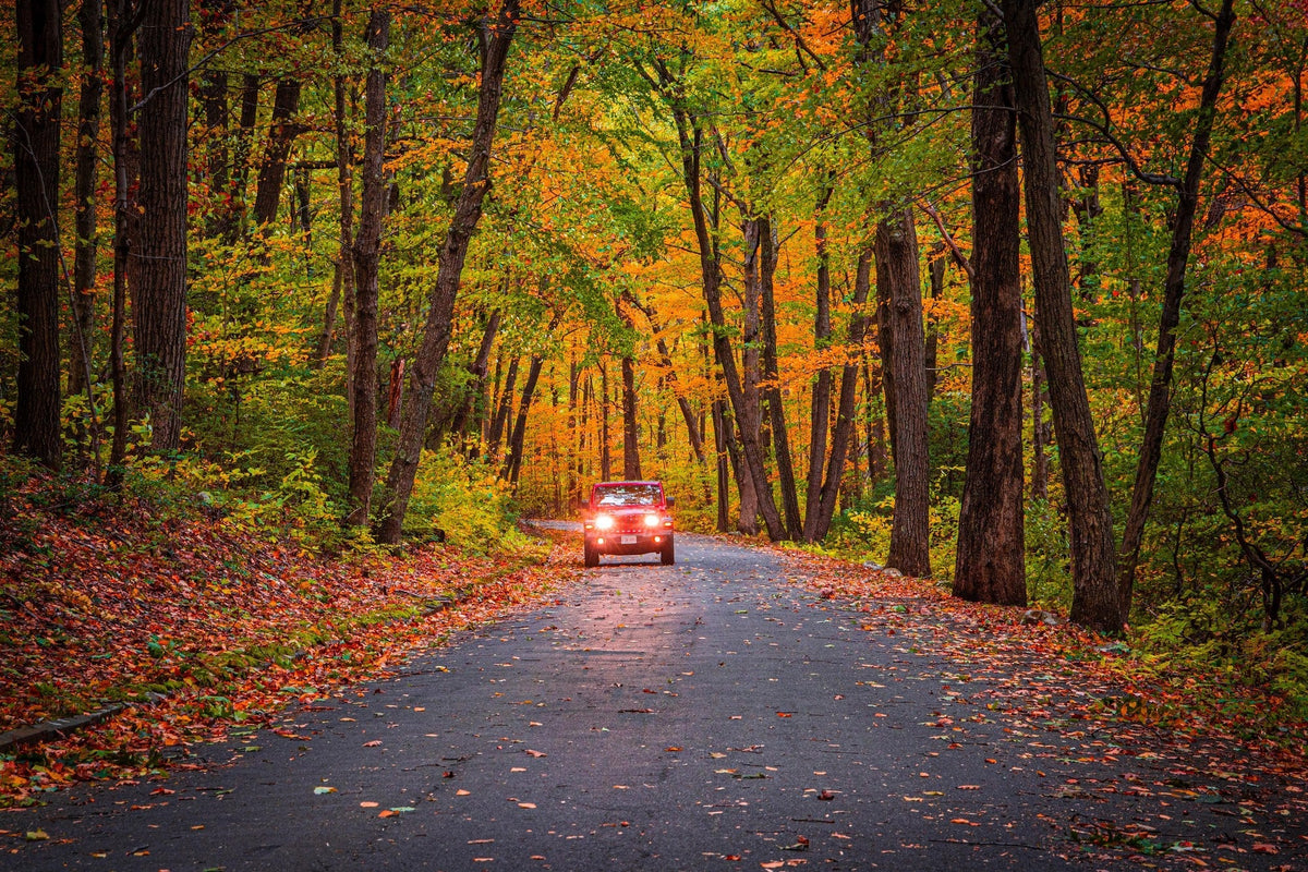 East Rock Park: New Haven Views and Fall Foliage