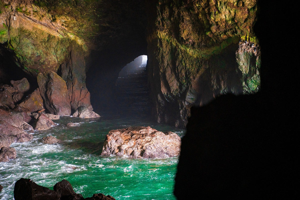 Sea Lion Caves in Florence, Oregon: What to Expect on a Visit