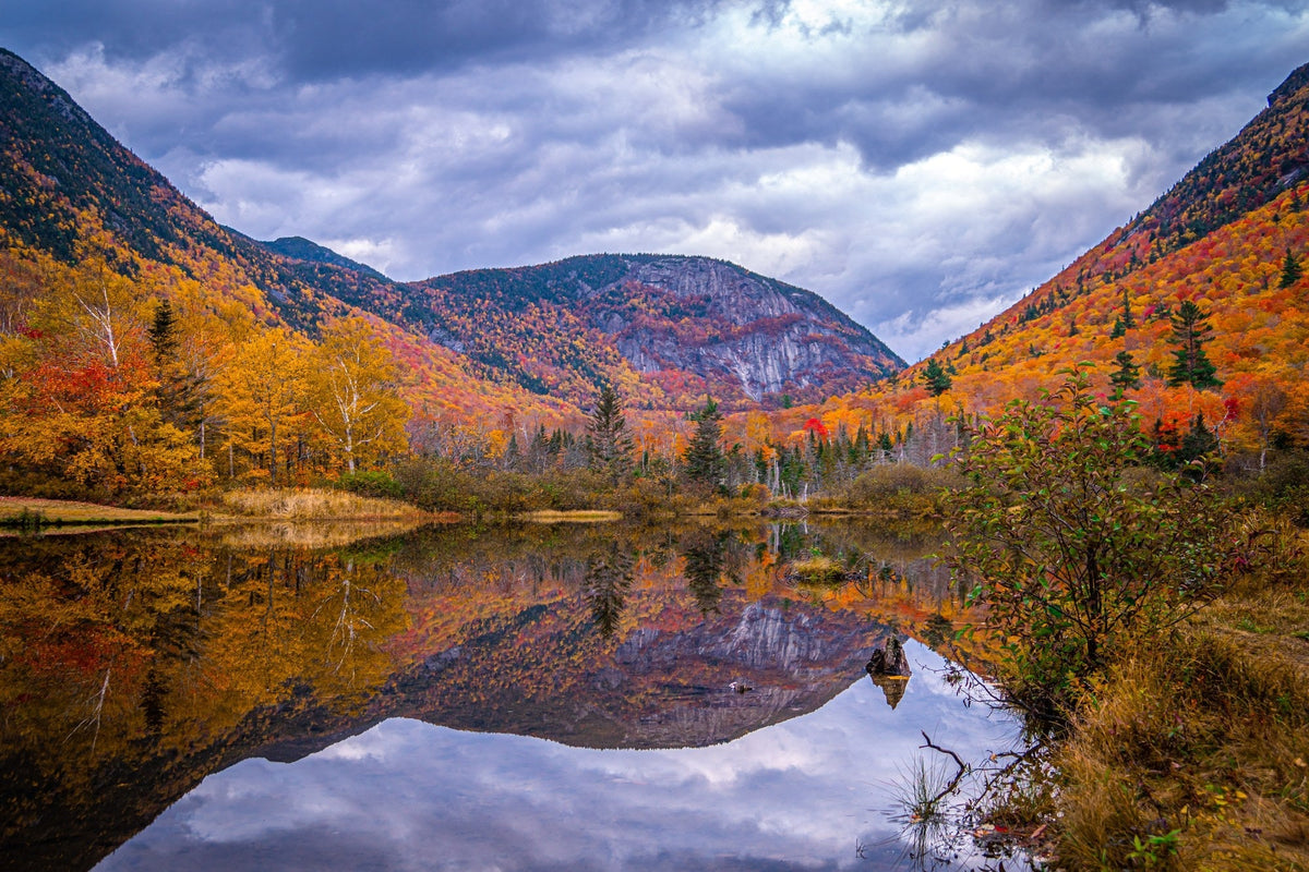 Willey House Historic Site: Fall Foliage in Crawford Notch