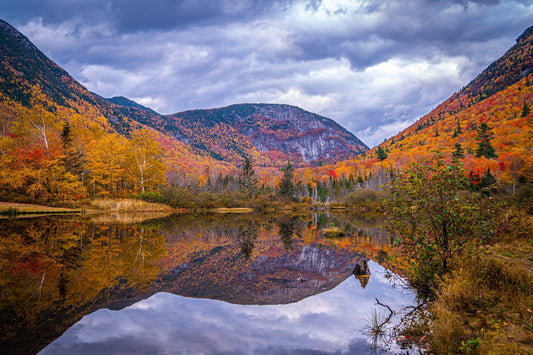 Willey House Historic Site: Fall Foliage in Crawford Notch