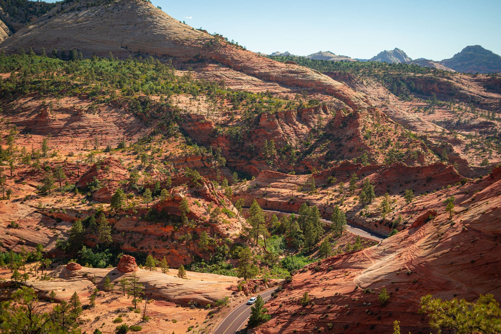 Zion National Park Guide: What to See on a First Visit