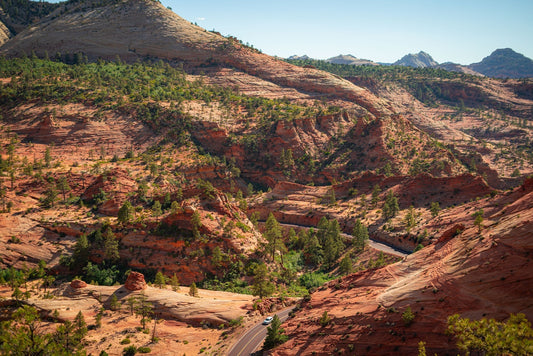 Zion National Park Guide: What to See on a First Visit