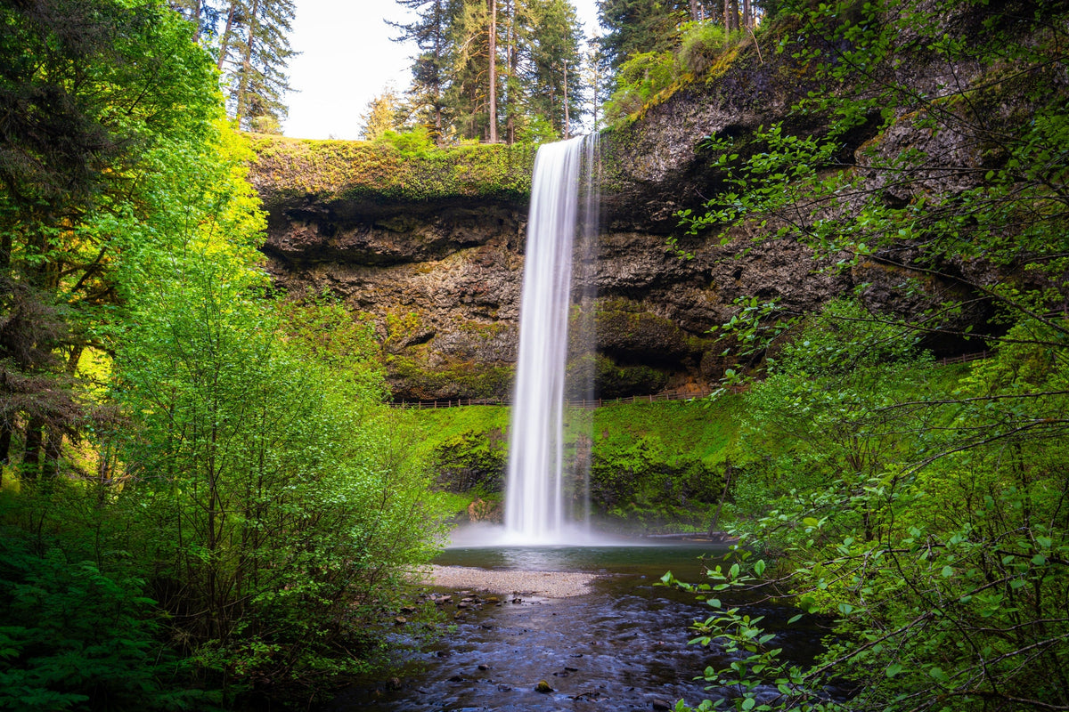 South Falls at Silver Falls State Park: An Oregon Waterfall Day Trip