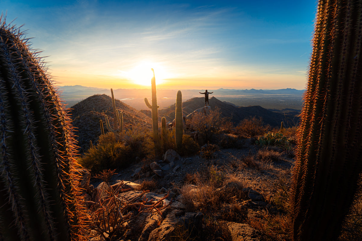 Sunset over a desert landscape framed by cacti, with a person standing on a rocky ridge